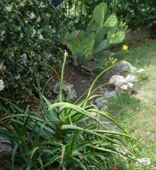 민박 Bed&Breakfast Villa Luisa