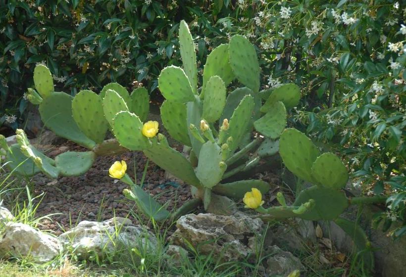 민박 Bed&Breakfast Villa Luisa