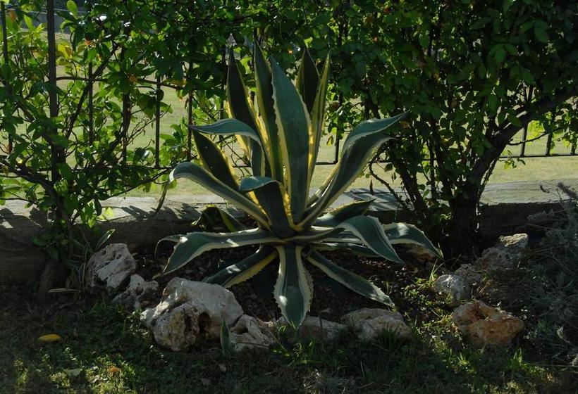 민박 Bed&Breakfast Villa Luisa