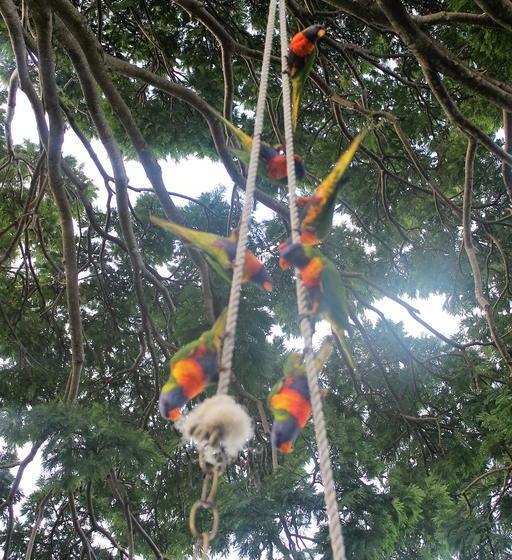 住宿加早餐 Bed&Breakfast Whitsunday Moorings