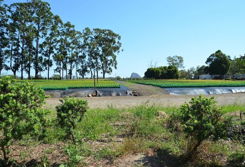 Beerwah Glasshouse Motel