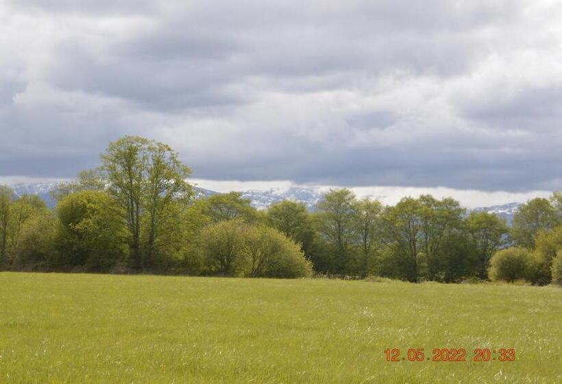 Estuary House Reflexology B&b