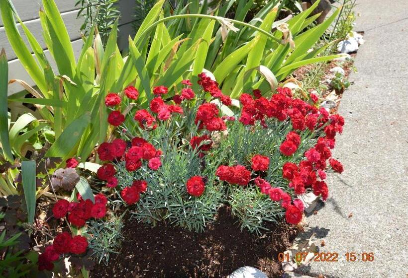 Estuary House Reflexology B&b