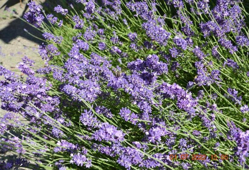 Estuary House Reflexology B&b