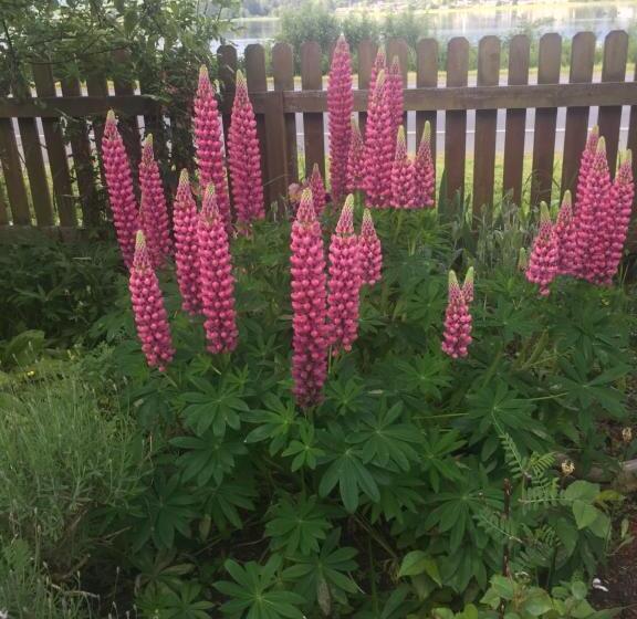 Estuary House Reflexology B&b