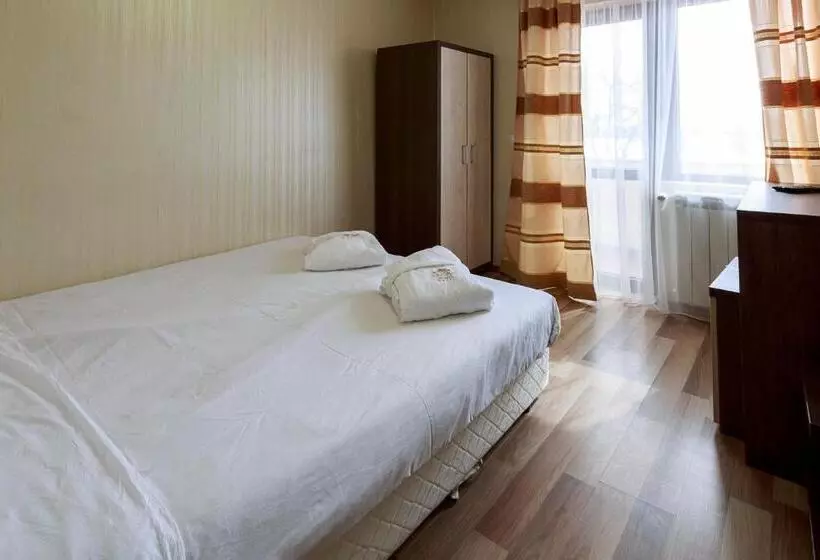 Hotel Nikol