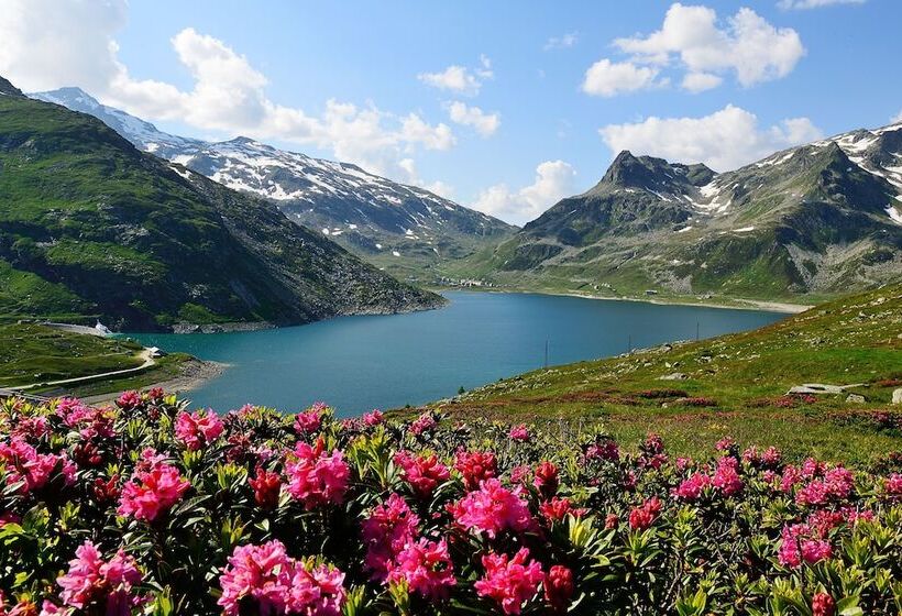 בית מלון כפרי Saligari