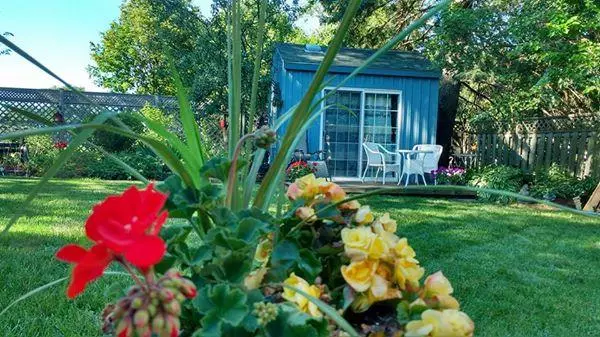 Three Wishes B&b