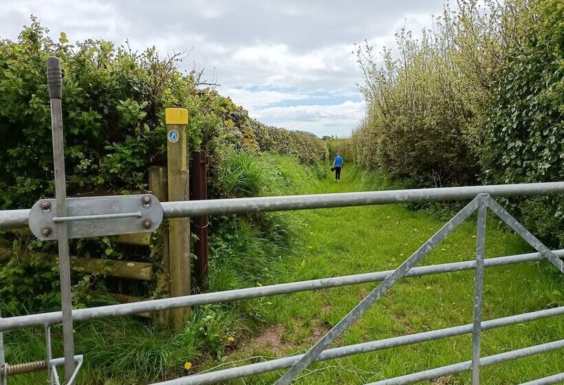 Отель Lovely Lodge Next To The Mansion House Llansteffan
