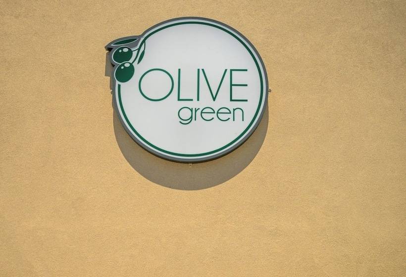 酒店 Olive Green Studios And Apartments