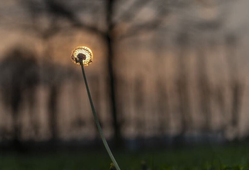 Hôtel Rural Agriturismo Al Botteniga