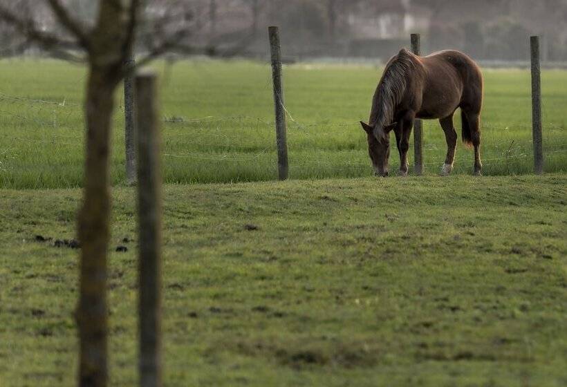 Hôtel Rural Agriturismo Al Botteniga