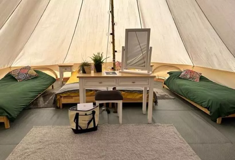 Walltree House Glamping   Cozy Glamping Experience