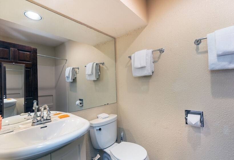 Manitou Lodge 4 Hotel Room By Alpine Lodging Telluride