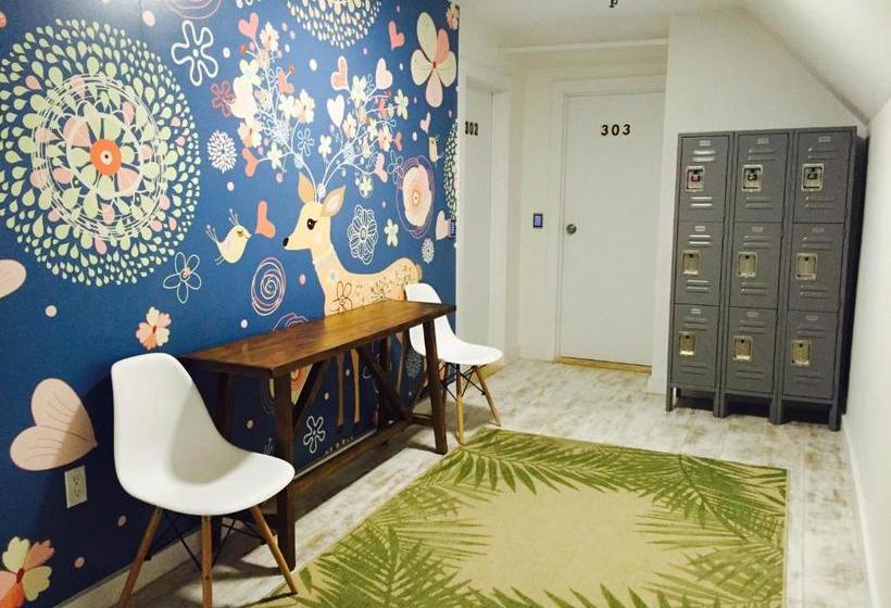 호스텔 Kamway Lodge