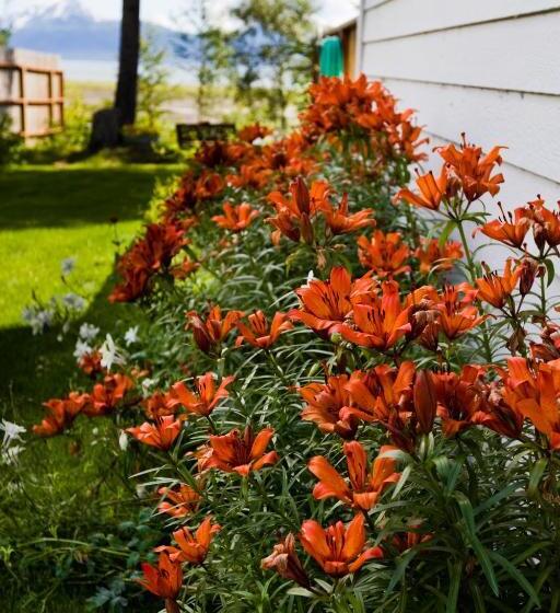 مبيت وإفطار Bay Avenue Inn