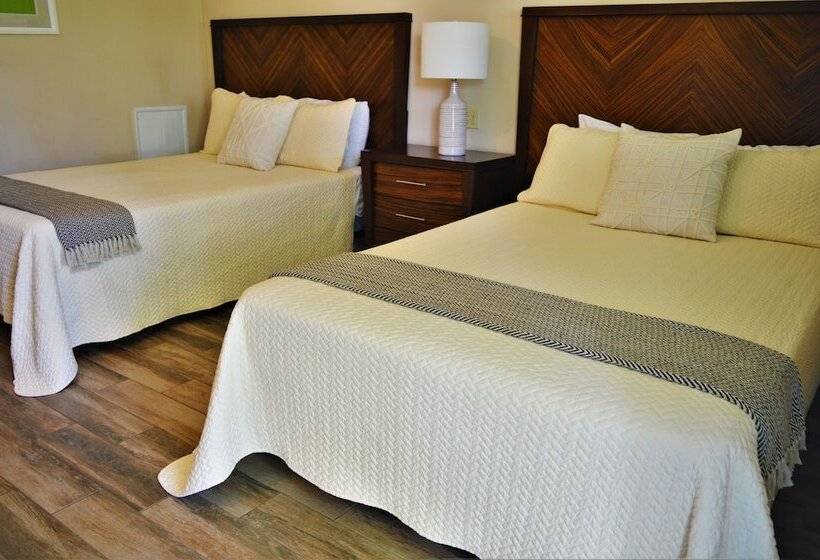 مبيت وإفطار Meris Gardens Bethany