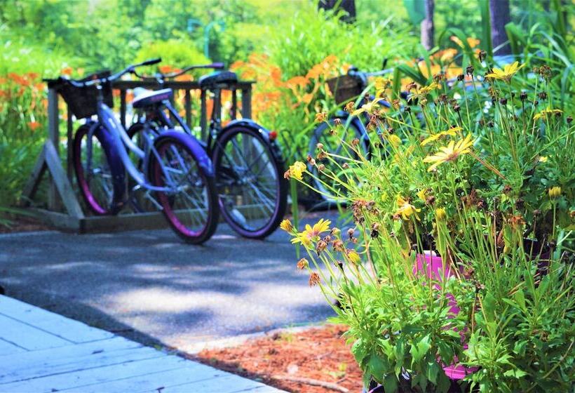 مبيت وإفطار Meris Gardens Bethany