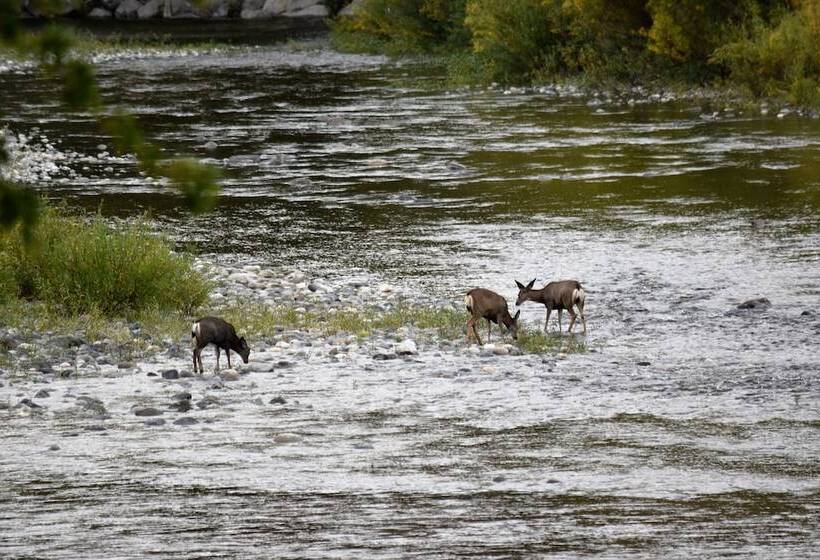 ベッドアンドブレックファースト Warm Springs Inn & Winery