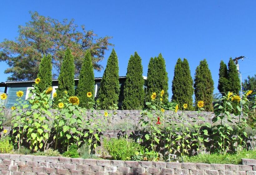 ベッドアンドブレックファースト Warm Springs Inn & Winery