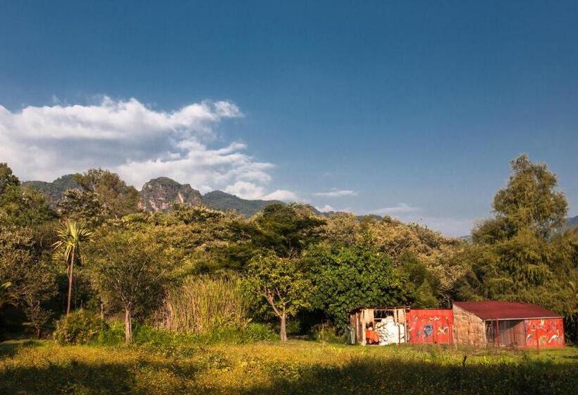 مبيت وإفطار Yolitia Wellness