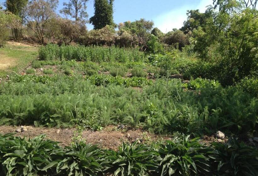 مبيت وإفطار Yolitia Wellness