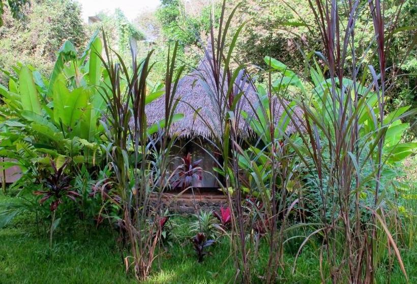 مبيت وإفطار Yolitia Wellness