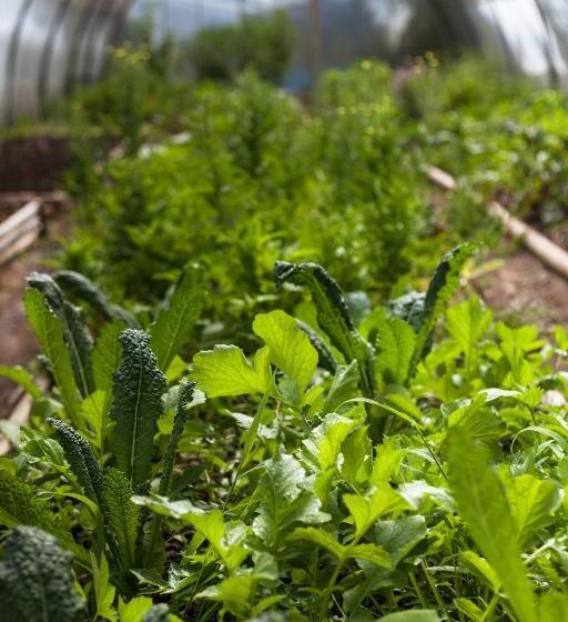 مبيت وإفطار Yolitia Wellness