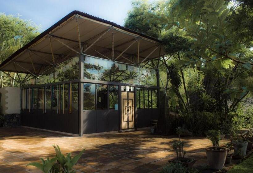 مبيت وإفطار Yolitia Wellness