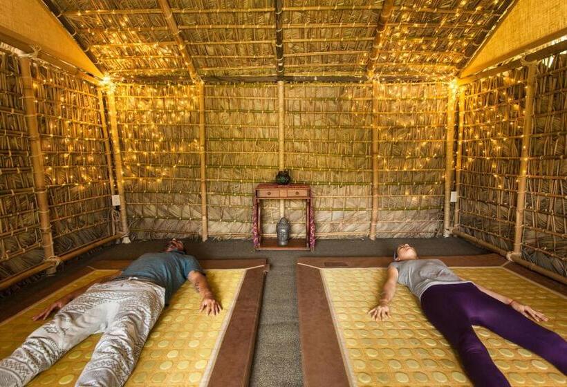 مبيت وإفطار Yolitia Wellness