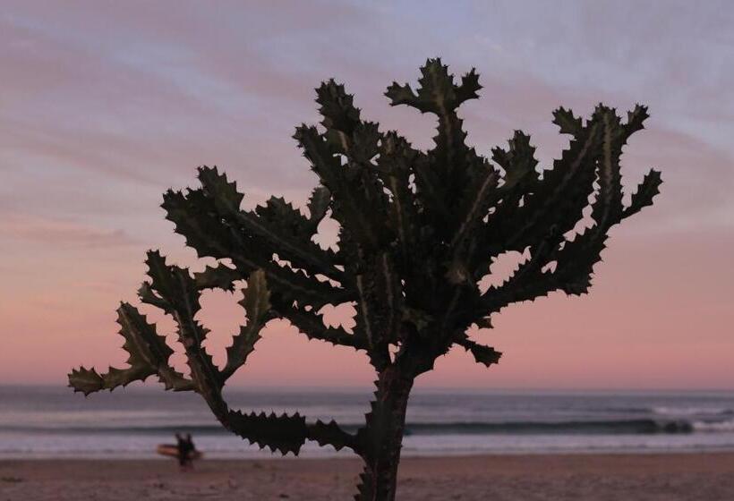 Cerritos Beach Hotel Desert Moon