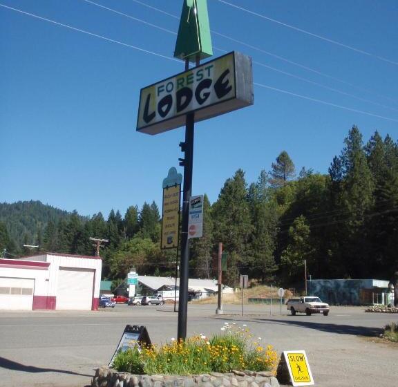 Forest Lodge Motel