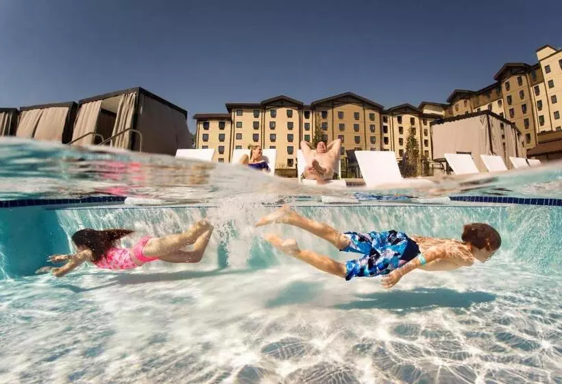 ホテル Great Wolf Lodge New England