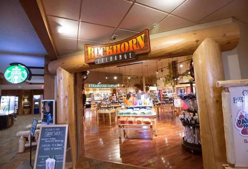 ホテル Great Wolf Lodge New England
