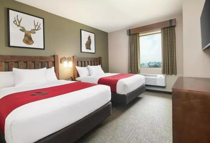 ホテル Great Wolf Lodge New England