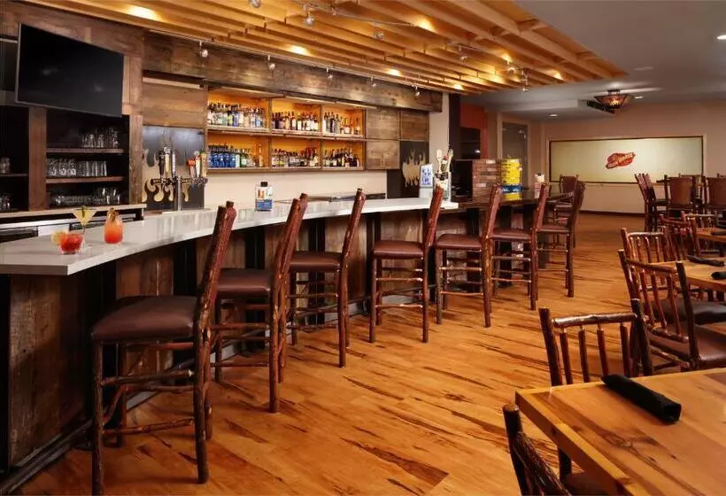 ホテル Great Wolf Lodge New England