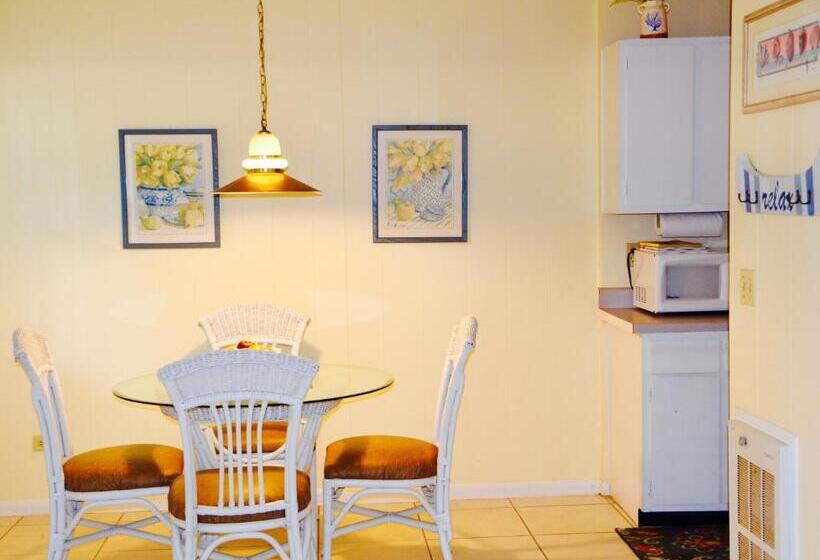 호텔 Sea Turtle Inn