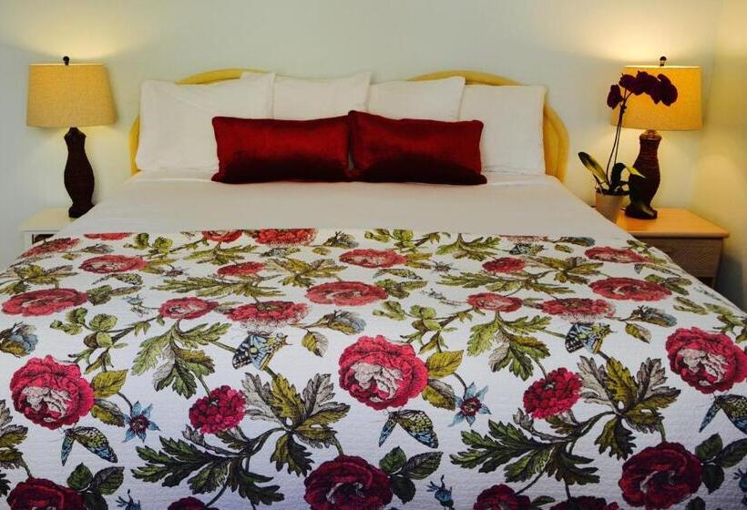 호텔 Sea Turtle Inn