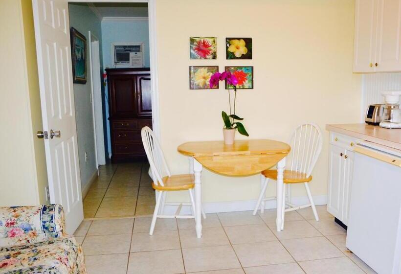 호텔 Sea Turtle Inn