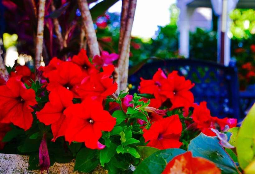 호텔 Sea Turtle Inn