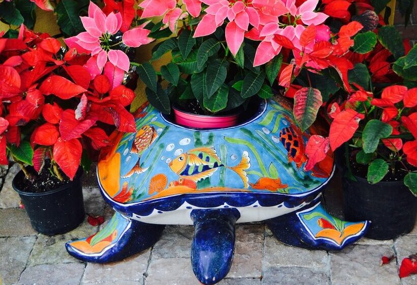 호텔 Sea Turtle Inn