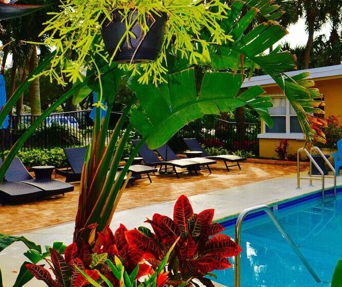 호텔 Sea Turtle Inn