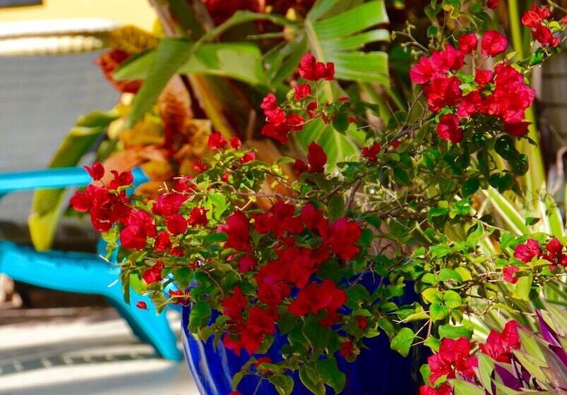 호텔 Sea Turtle Inn