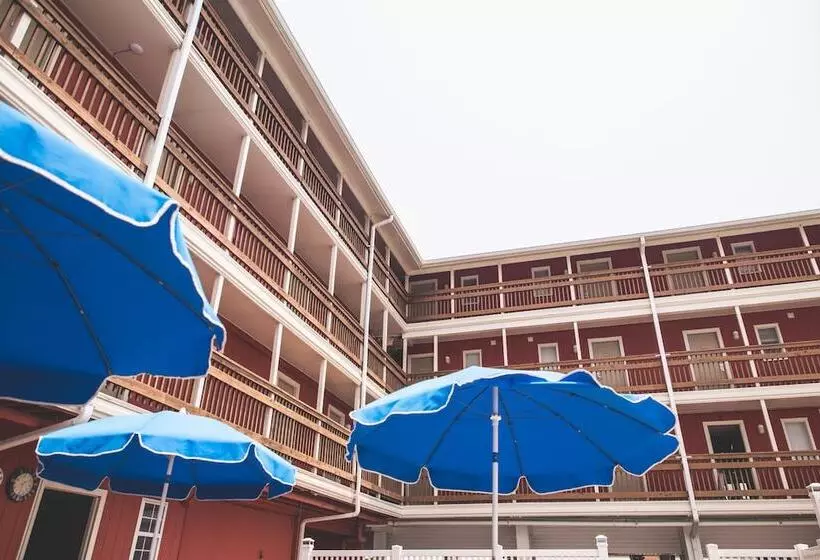 ホテル Surf Club Oceanfront