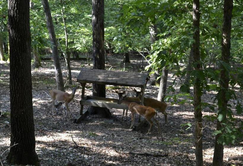 فندق على الطريق Apple Blossom Inn