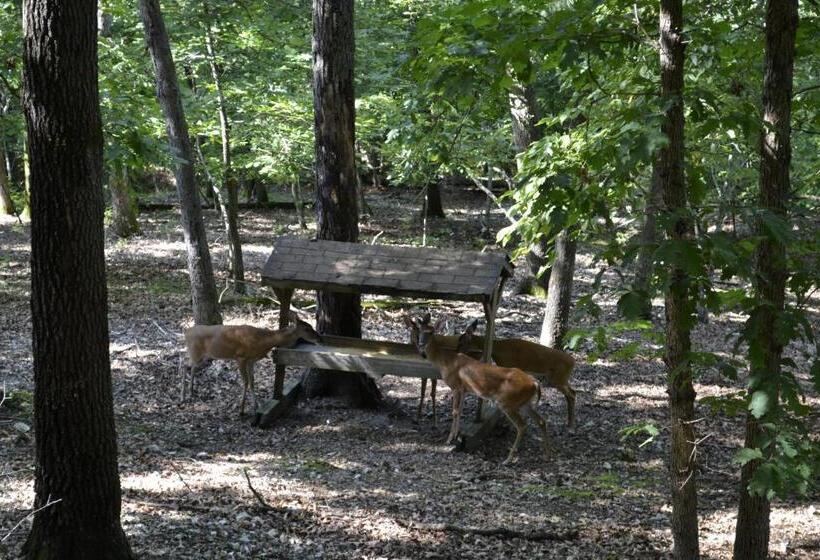 فندق على الطريق Apple Blossom Inn