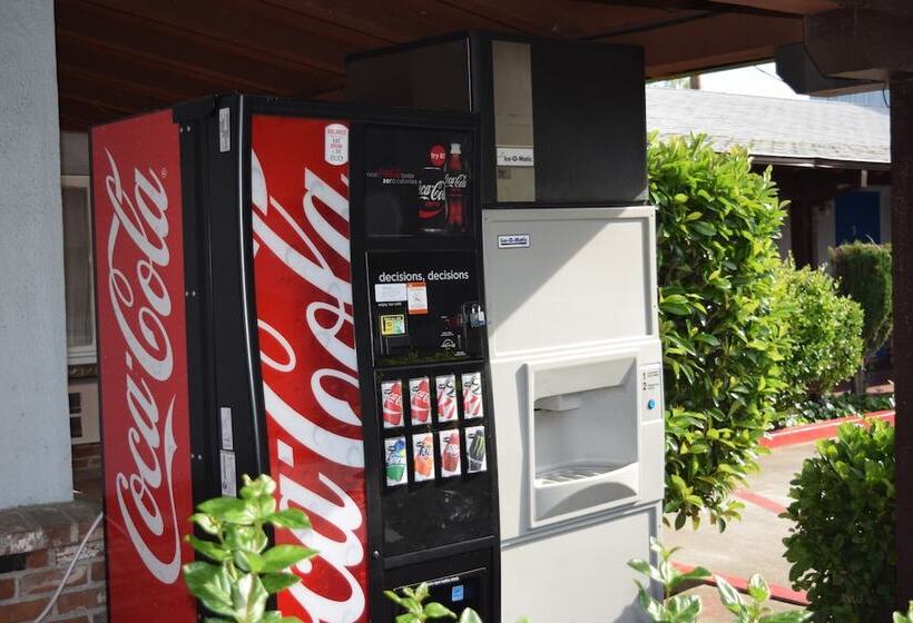 מוטל Red Bluff Inn