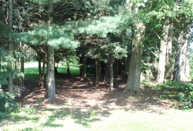 Terrace Green B&b