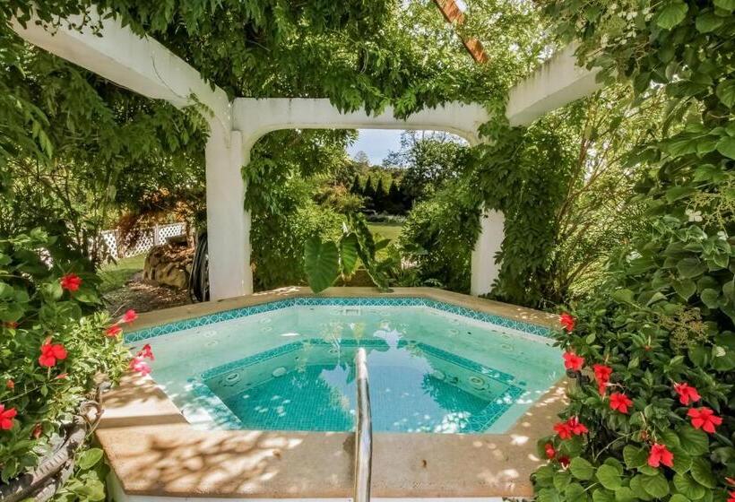 The Villa Bed And Breakfast