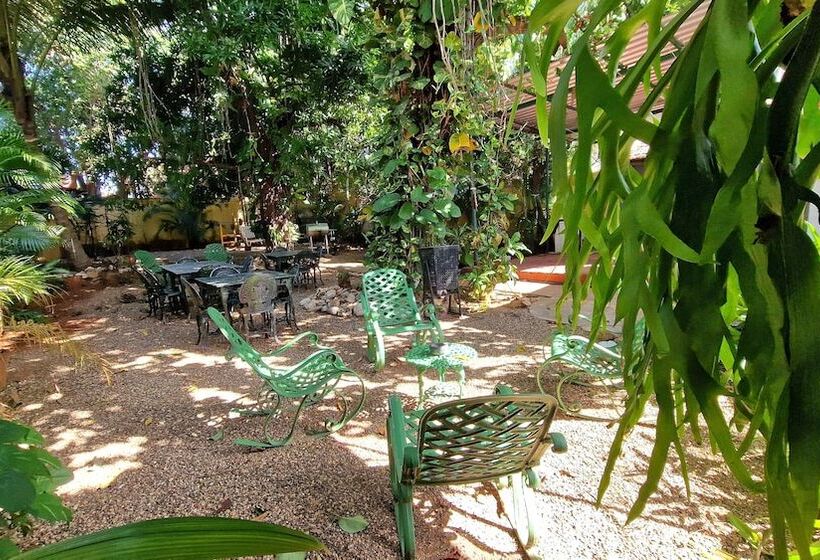 تختخواب و صبحانه Casa Ama